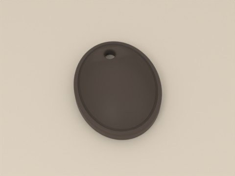 Médaille personnalisée pour chien et chat, modèle Ovale